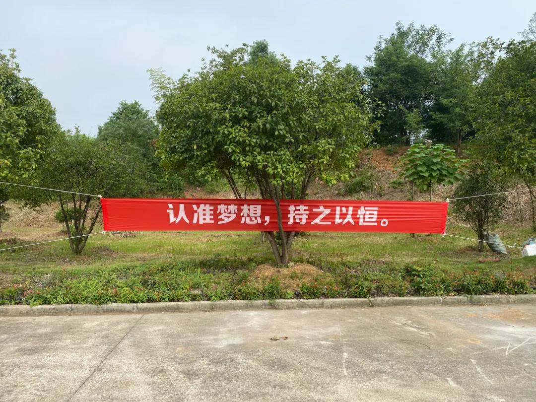 開學報道第一天｜齊心協力譜新篇，奮斗追夢再啟航(圖1)